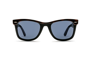 3330122870 Tortoise image-1