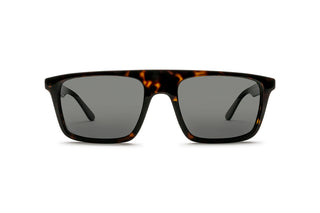 3330122910 Tortoise image-1