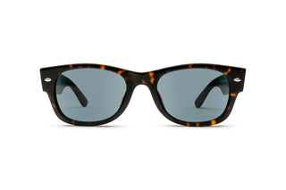 3330124700 Tortoise image-1