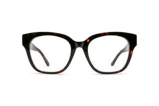 3410100310 Tortoise image-1