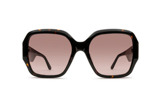 3410100420 Tortoise image-1