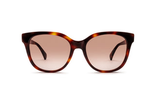 3450101610 Tortoise image-1