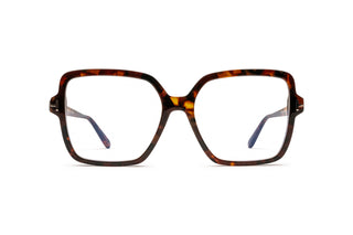 3520105710 Tortoise image-1