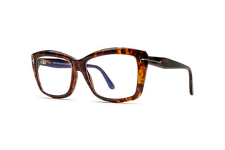 3520105740 Tortoise image-3