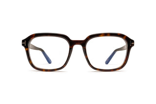 3520105800 Tortoise image-1