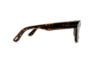 3520106450 Tortoise image-2