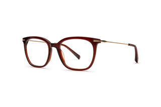 3790102260 Brown/Gold image-3