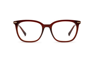 3790102260 Brown/Gold image-1
