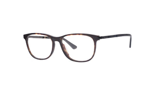 3900300310 Tortoise/Dark brown image-3