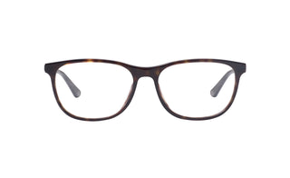 3900300310 Tortoise/Dark brown image-1