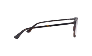 3900300310 Tortoise/Dark brown image-2
