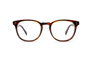 3930100240 Tortoise image-1