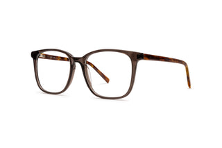 3950100920 Brown/Tortoise/Crystal image-3