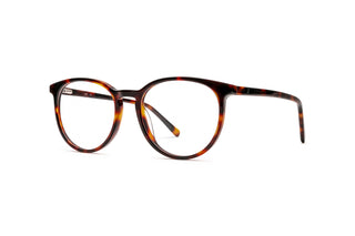 3950101070 Tortoise image-3