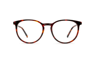 3950101070 Tortoise image-1
