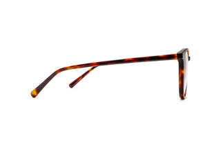 3950101070 Tortoise image-2