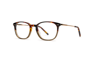 3950101080 Tortoise/Gold/Green image-3