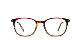 3950101080 Tortoise/Gold/Green image-1