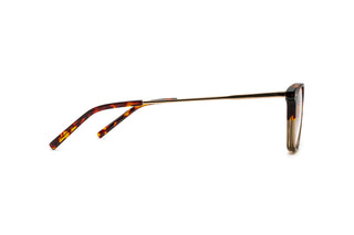 3950101080 Tortoise/Gold/Green image-2