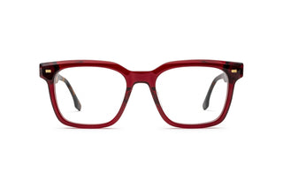 3950101240 Half burgundy/Tortoise image-1