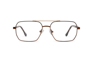3950101380 Matte brown/Tortoise/Gold image-1