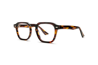 3950101640 Tortoise image-3