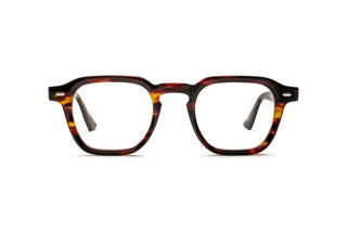 3950101640 Tortoise image-1