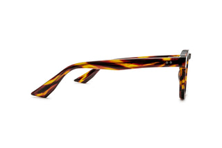3950101640 Tortoise image-2