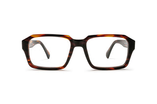 3950101680 Tortoise image-1