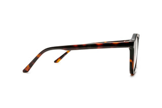 3950101700 Tortoise image-2
