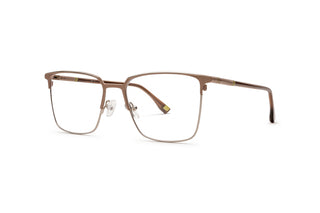 3950101810 Silver/Brown image-3