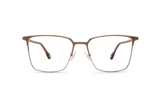 3950101810 Silver/Brown image-1