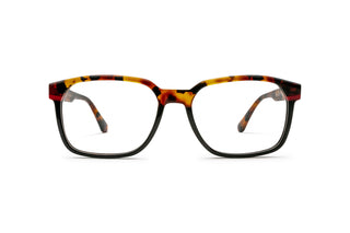 3950101900 Tortoise image-1