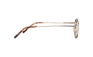 3950400040 Tortoise/Gold image-2