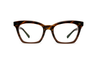 4180104430 Tortoise image-1