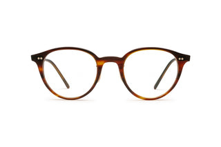 4180105180 Tortoise image-1