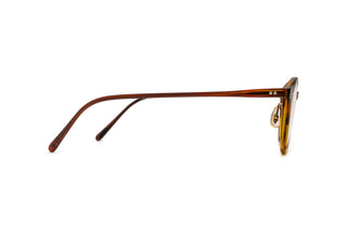4180105180 Tortoise image-2