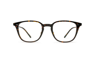 4180105200 Tortoise image-1