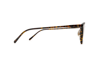 4180105200 Tortoise image-2