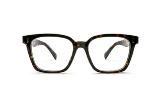 4180105340 Tortoise image-1