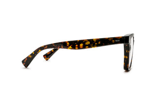 4180105340 Tortoise image-2