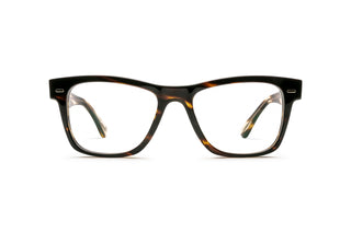 4180105360 Tortoise image-1