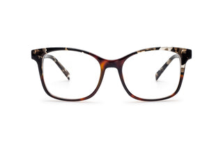 4300100660 Tortoise/Black image-1