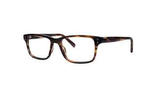 4300300260 Tortoise image-3