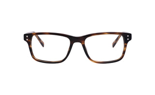 4300300260 Tortoise image-1