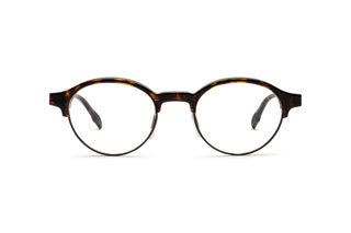 4850100550 Tortoise image-1