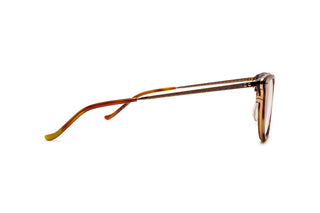4850100700 Tortoise/Gold image-2