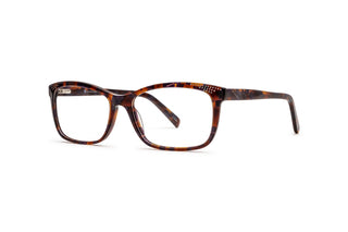 4900101650 Tortoise image-3