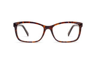 4900101650 Tortoise image-1