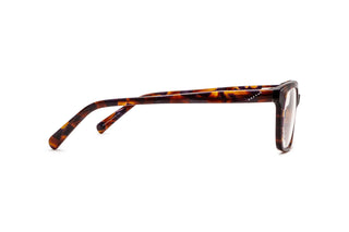 4900101650 Tortoise image-2